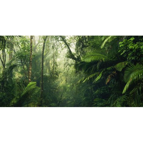 Papier peint panoramique naturel Mondes Tropicaux (1/4)