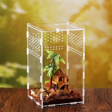 Terrarium Reptilien-Terrarium Insekten-Terrarium Eidechsen-Schlange-Spinne (1/5)