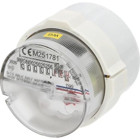 Capsule de mesure EAS SP pour l'eau froide et chaude