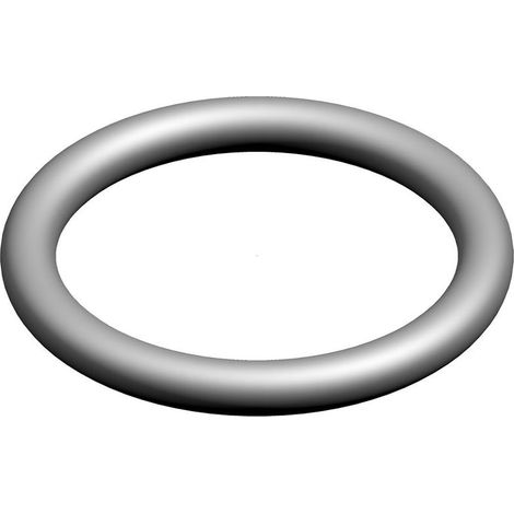 BOSCH O-Ring 17,3x2,5 (10x), 87228353060