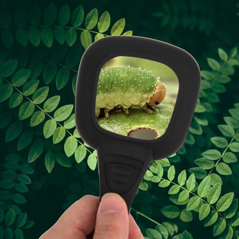 Mini loupe de poche 6x avec lumière LED pour la détection de contrefaçons et le grossissement de la lecture (1/5)