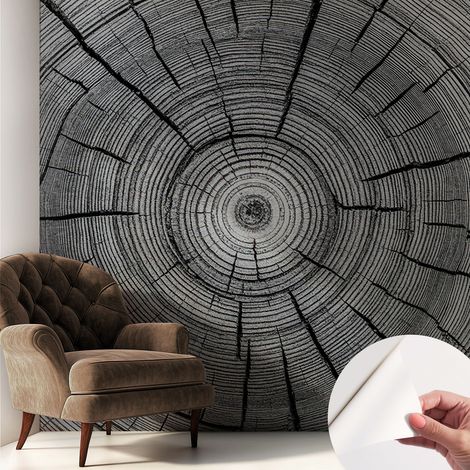 Tapete Selbstklebend - abwaschbar - Tapete mit Motiv - trendige Wanddeko - elegant Fototapete Waldharmonie 250x250 cm (1/5)
