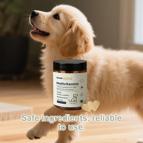 Comprimés multivitaminés à croquer Gentle Formula pour chiens - Nutrition équilibrée pour les soins quotidiens du chien - 150 g (1/5)