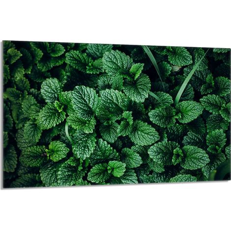 Glasschutzplatte für den Herd 80x52 Melisa (1/5)