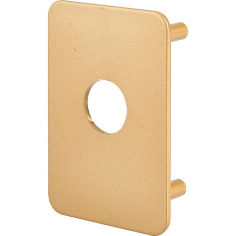 Thirard – Plaque de renfort pour verrou Transit 2 et Capital – Finition epoxy or – Installation rapide par vis – Résistance accrue à l'usure