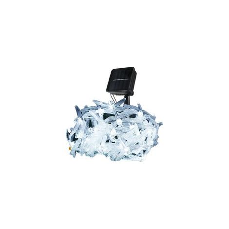 EASYCOMFORT Guirlande Lumineuse Extérieure avec 30 Libellules - Lumières Décoratives Solaires pour Jardin (1/4)