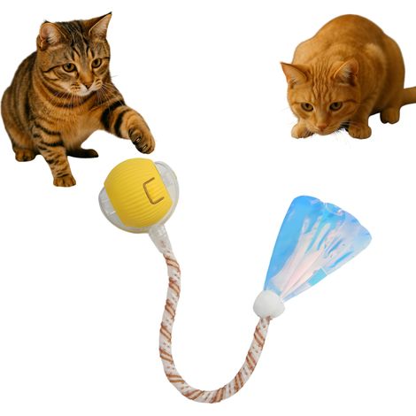 Interaktives elektrisches Spielzeug für Katzen und Hunde - Reitball mit Federn