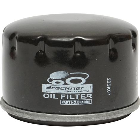 Filtro olio Dacia Super Nova, Solenza e Logan MPi benzina 7700274177 (1/3)