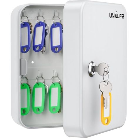 Armoire à clés Murale avec Serrure à clé boîte de Rangement de sécurité en Acier avec étiquettes Autocollants et Crochets (1/5)