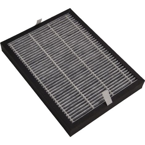 Filtro con carbón activado 5314810051 DELONGHI