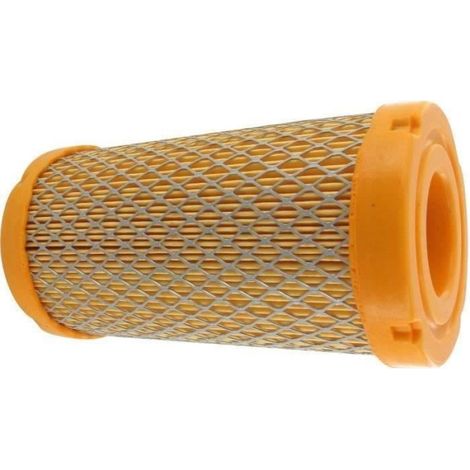Filtre À Air - Compatible Briggs Stratton Modèle 793569 - Pour Moteurs Thermiques - 1 Pièce (1/2)