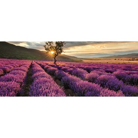 Tableau champ de fleur violette pour salle de bain | Tableau déco salon paysage champ de lavande | Tableau fleuri lever du soleil pour couloir 1,0 x 0,4 m (1/2)