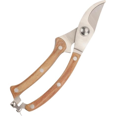 Cisaille à Branches Pratique en Acier Inoxydable et Bois 1 Pièce, Poignée Antidérapante, Boucle de Sécurité, pour Plantes et Fleurs (1/5)