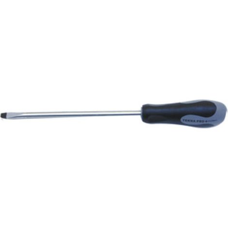 CACCIAVITE P/MECCANICO 101 TEKNA D  4,0X100 MM- CHINA T MAX 6044- 12,0 pz