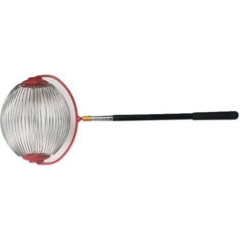 Ramasse Noix Collecteur De Noix Réglable Et Léger Récolteuse De Noixs En Aluminium Avec Tige Télescopique Rouleau Ramasse, Récupérateur/collecteur De Noixs, Peut Contenir No-ix De Hickory, Golf (1/5)