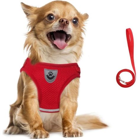 Corde de traction réglable pour harnais chien couleur rouge taille M