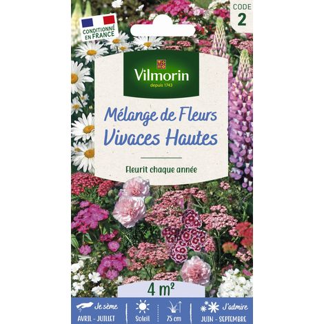 Vilmorin – Mélange fleuri de fleurs vivaces hautes – 4 m² – Achillée, œillet de poète, lupin, marguerite – Floraison abondante et couleurs variées