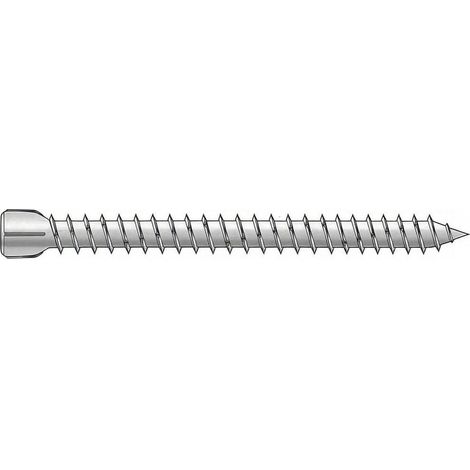 10 Vis d'Ancrage Who Tête Cylindrique Tx25 - 7.5x72 mm - D-Work (1/2)