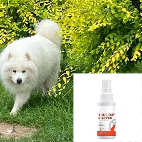 Spray anti-griffures pour chiens : empêche les chiens de griffer les meubles. Aide à l'éducation canine. (1/4)