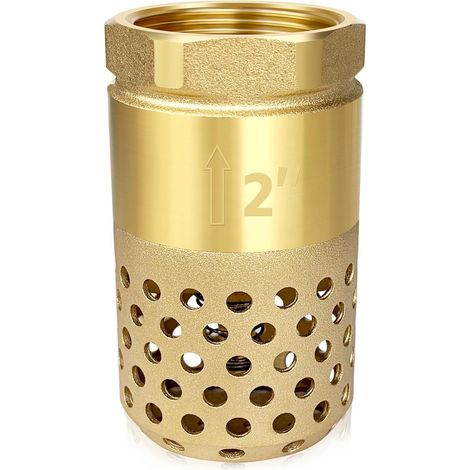 Clapet anti-retour en laiton, 2 pouces NPT, à ressort et à mailles, raccord femelle, avec filtre et crépine perforés (2'' NPT) (1/5)