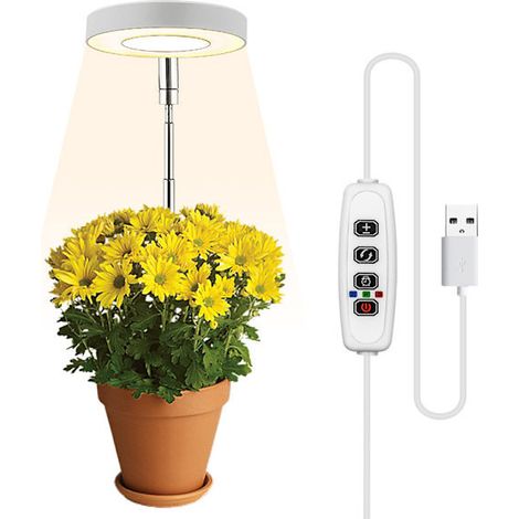 Filiyano-Éclairage INF pour plantes en pot, blanc chaud/blanc (1/5)