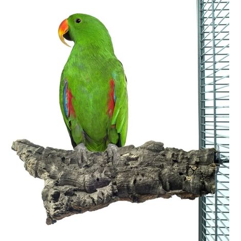 Percha de corteza de alcornoque natural L - para loros medianos y grandes (1/4)