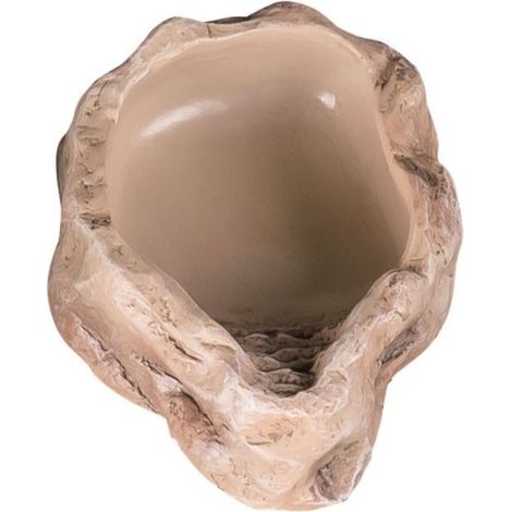 Ciotola per terrario per acqua e cibo per serpenti, agama, gechi, corazza, 11x8x3 cm (1/5)