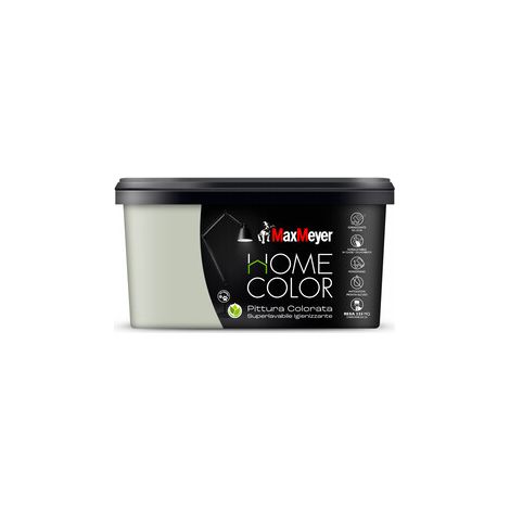 HOME COLOR SUPERLAVABILE  2,5L SALVIA