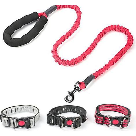 Dreiteilig, Größe: 2,5 x 115 cm, reflektierendes Hundehalsband, gepolstert mit weichem und atmungsaktivem Neopren, verstellbares Nylon für kleine Hunde (1/5)