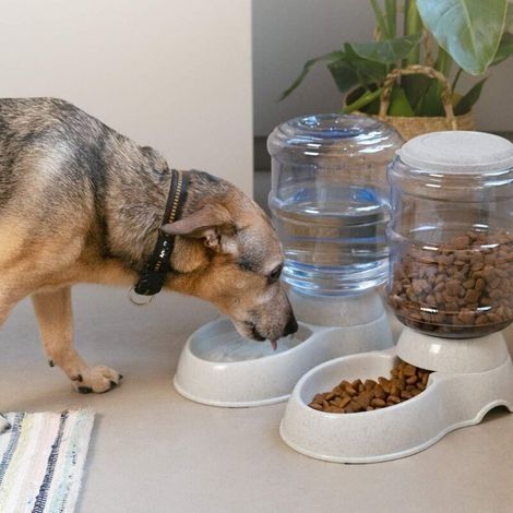 Automatischer Futter- und Wasserspender für Katzen, Hunde und Kaninchen – 3 x 8 Liter Fassungsvermögen – 2 x Näpfe (1/3)