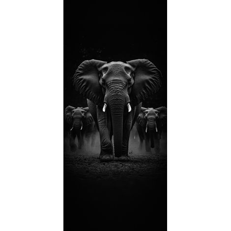 Tableau sur verre synthétique éléphants en troupeau noir et blanc 65x145 cm - Impression sur Verre synthétique - Image HD  imprimée sur Verre synthétique - Tableau mural décoratif - Fabriqué en France (1/5)