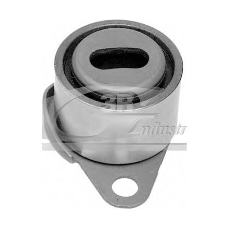 3RG 13619 RODILLO TENSOR