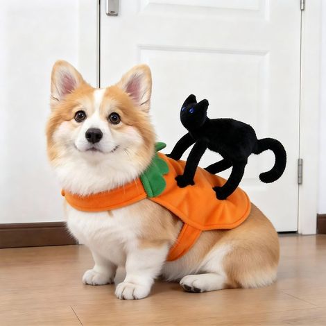 Déguisement d'Halloween pour chiens et chats, idéal pour les promenades, pour chiens de petite et grande taille. Taille S. (1/5)