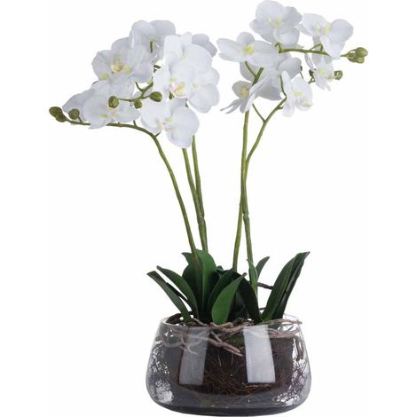 Orchid in Glass Pot Artificial Flower - Plastic - L21 x W21 x H61 cm - White