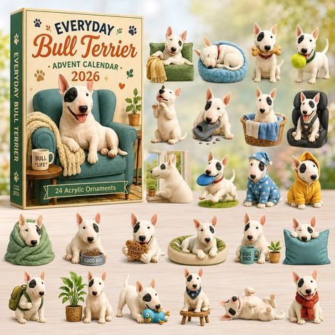 Bouledogue sur canapé calendrier avent 2026 2D boîte surprise