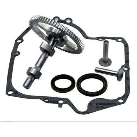 Arbre à Came Briggs & Stratton Kit de Remplacement 793880 793583 avec Joints (1/4)