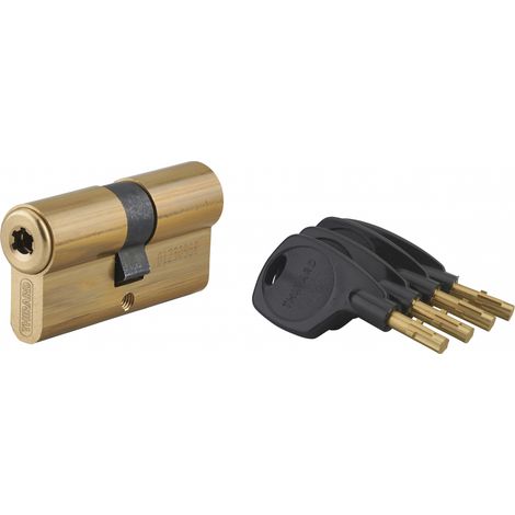Thirard – Cylindre de serrure double entrée 31x31mm – Laiton – Anti-arrachement et anti-crochetage – 4 clés – 5 goupilles – Haute sécurité (1/4)