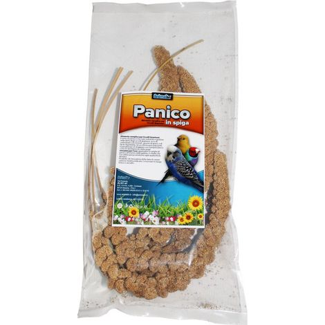 ALSO Seme di Panico in spiga 100gr (1/2)