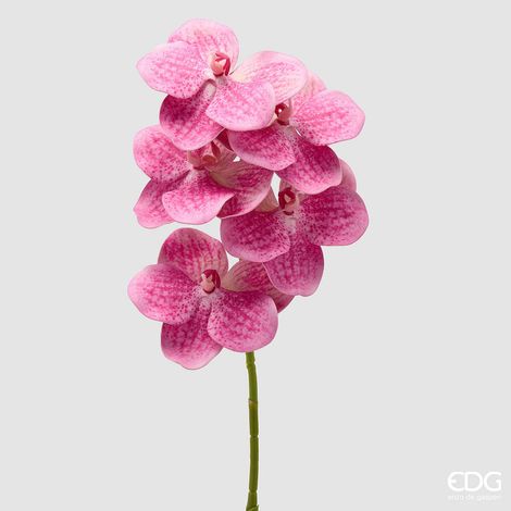 EDG Enzo De Gasperi Orchidea Vanda Ramo H 65 Cm Pianta Artificiale Fuchsia