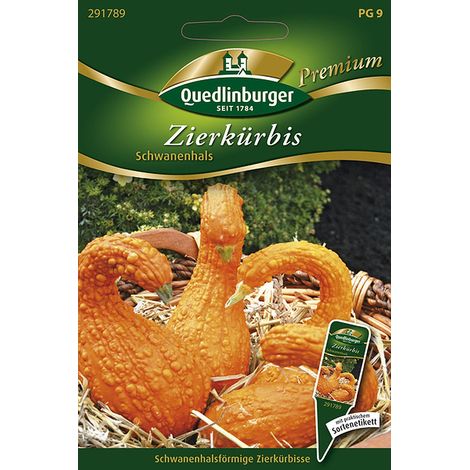 Quedlinburger Zierkürbis Schwanenhals - Blumensamen