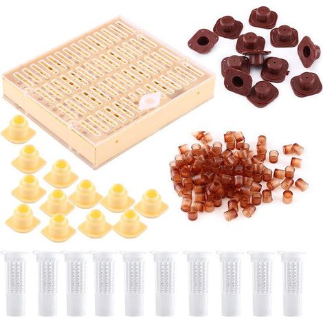 Filiyano – Kit de matériel apicole essentiel pour l'élevage de reines destinées à la production de gelée royale (1/5)