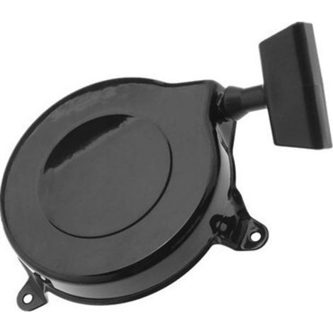 Lanceur pour Briggs & Stratton 300 Series (1/3)