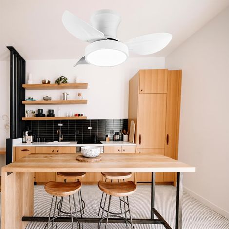 Ventilateur de plafond avec lumière et télécommande, ventilateur de plafond moderne à LED à intensité variable, 6 vitesses, minuterie, 65 cm (blanc) (1/5)