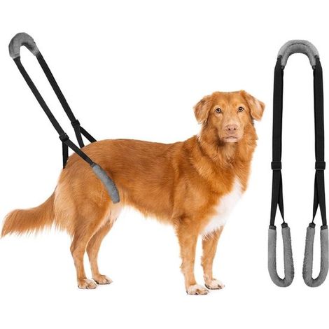 Gehhilfe für die Hinterbeine von Hunden Hundegeschirr Hinterbeingeschirr für Hunde Gehhilfe für kranke ältere Hunde fördert die Beweglichkeit des