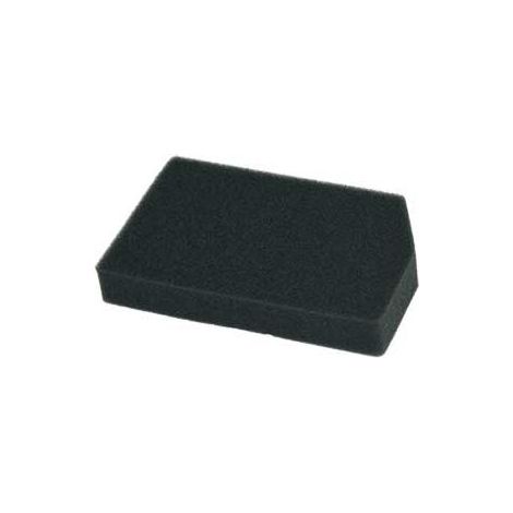 Filtre mousse arriére Aspirateur RT4042, RS-RT4042 ROWENTA (1/2)