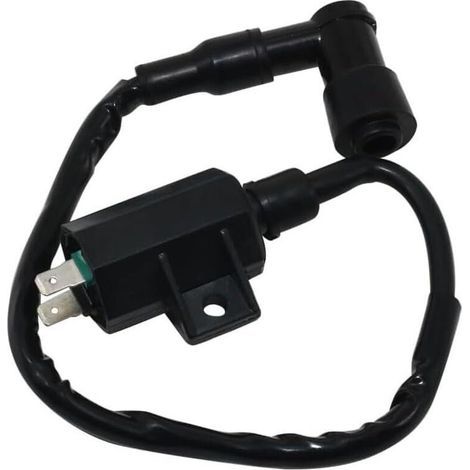 Bobina de encendido de alto voltaje compatible con/reemplazo para Kaawwaassaakkii ATV 21121-1160 21121-1198 KLF220 (1/4)