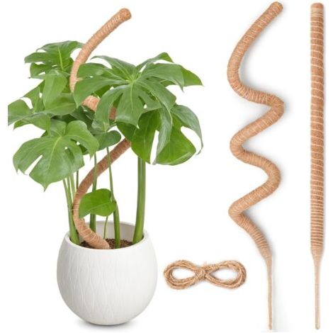 120cm x 2 Tuteur Monstera pour Plantes, kit de Poteau de Mousse Monstera pour Plantes Grimpantes, Tuteur Coco pour Plantes d'intérieur (1/5)