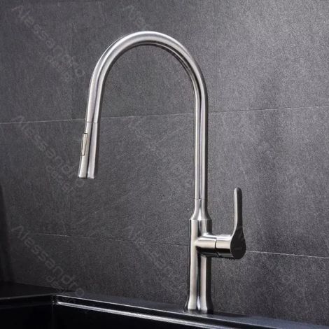 Robinet de Cuisine avec Douchette Extractible Inox Satine CF023 (1/3)