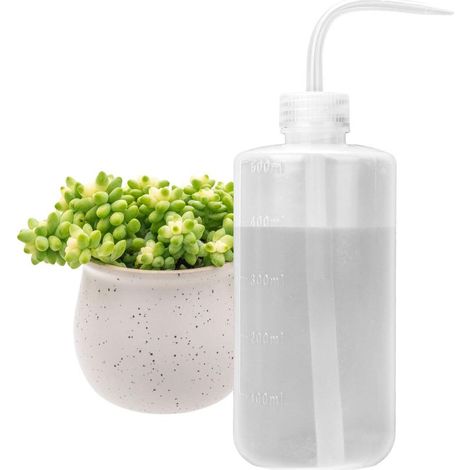 Arrosoir souple, bouteille de sécurité en plastique, convient aux plantes succulentes et aux bonsaïs, 500 ml. (1/5)