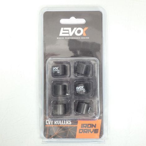Variomatik-Rolle EVOK für Roller Malaguti 50 Crosser LC Neu (1/4)
